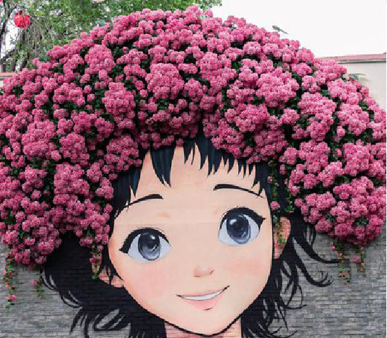  政和墙体彩绘-网红墙打卡